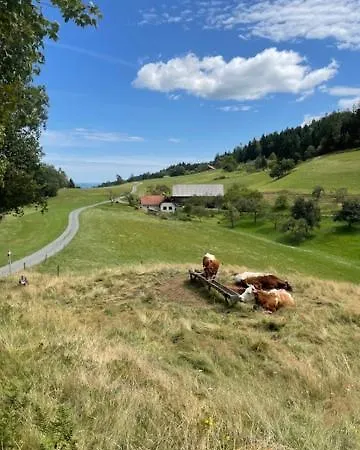 Eko Kmetija Sen Na Zgornji Kapli Farm stay Zgornja Kapla