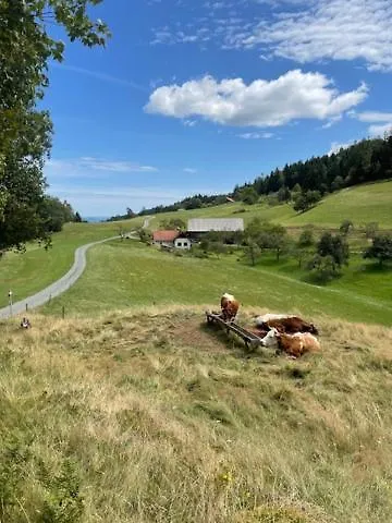 Eko Kmetija Sen Na Zgornji Kapli Alloggio per agriturismo Zgornja Kapla